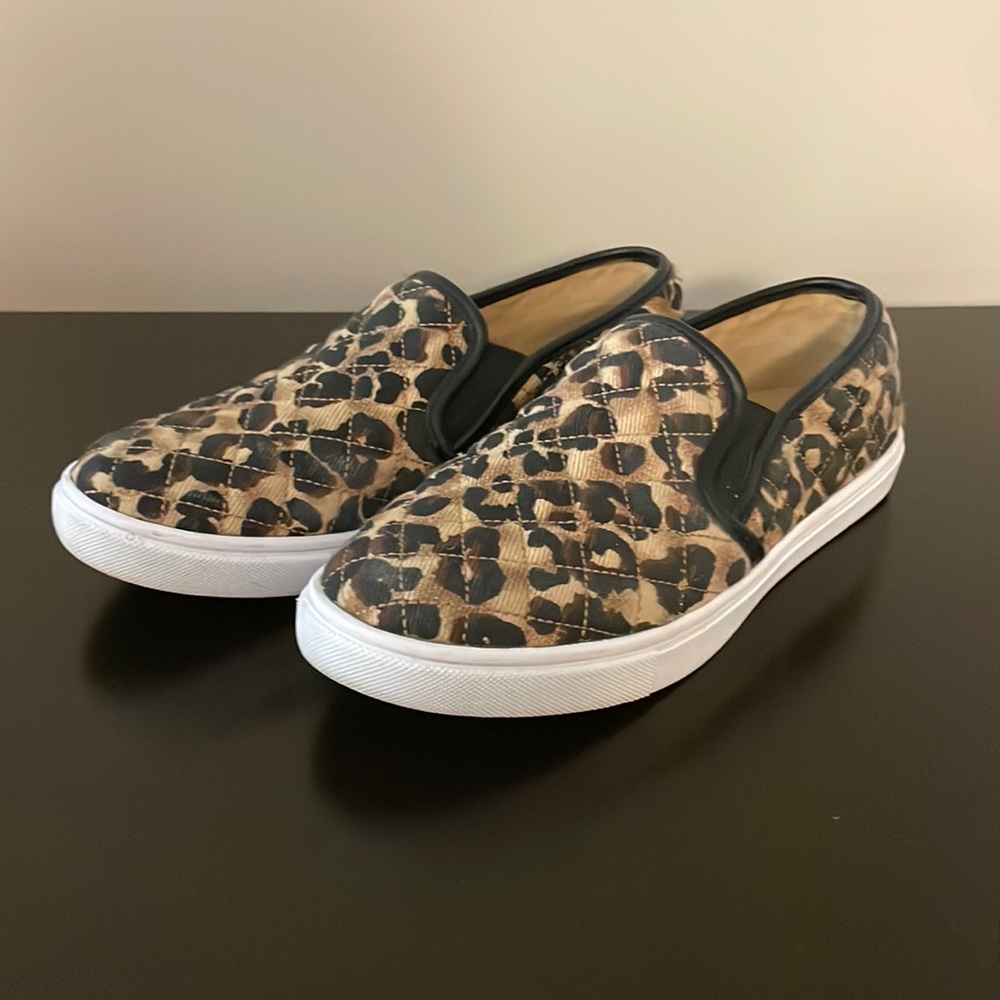 Steve Madden ECENTRCQ leopard slip on sneakers